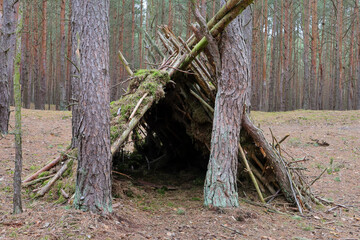 A hut in the forest built of branches and moss.
