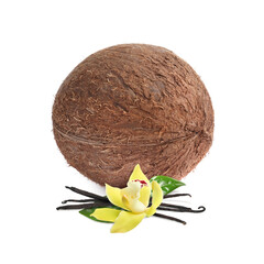 Coconut, vanilla pods and flower isolated on white