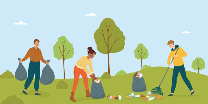 Volunteers cleaning park, picking up trash, and raking leaves. Group of people collect trash in litter bags, flat vector illustration. Outdoor teamwork promoting environmental care.