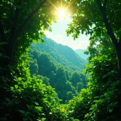 Obraz premium Sun-drenched Guadeloupe rainforest canopy, vibrant green foliage, sunlight, sun, vibrant