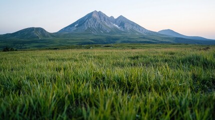 Fototapeta premium Mountain range and green field at dawn. Possible use Nature background