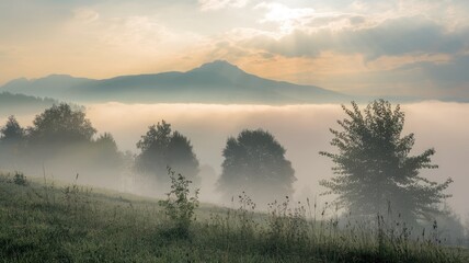 Obraz premium Mist envelops a serene landscape with gentle rolling hills and silhouettes of trees, creating a tranquil morning atmosphere.