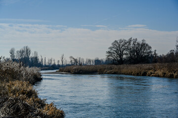 Obraz premium Winterwanderung in den Isarauen im Mündungsgebiet