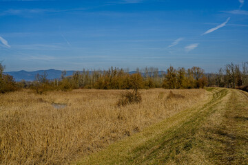 Winterwanderung in den Isarauen im Mündungsgebiet