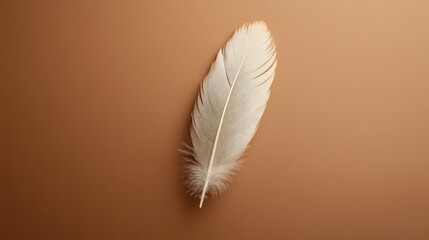 A Single Feather on Neutral Background for Native American Heritage Month - Minimalist Style Depicting Cultural Significance