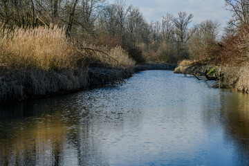 Winterwanderung in den Isarauen im Mündungsgebiet