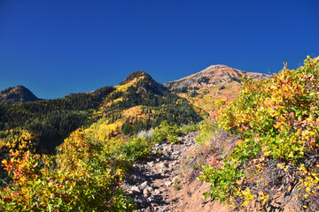 Box Elder Peak view looking up from hiking trail, American Fork Canyon. Wasatch Range Rocky...