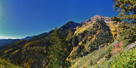 Box Elder Peak view looking up from hiking trail, American Fork Canyon. Wasatch Range Rocky...