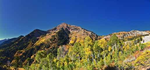 Box Elder Peak view looking up from hiking trail, American Fork Canyon. Wasatch Range Rocky...
