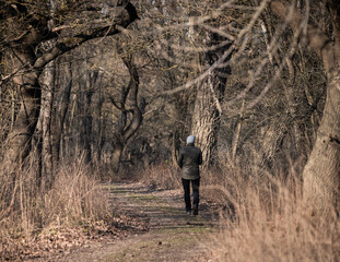 Naklejka premium walking in the woods