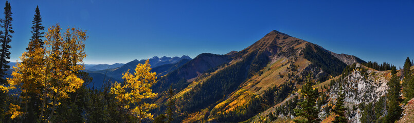 Box Elder Peak view looking up from hiking trail, American Fork Canyon. Wasatch Range Rocky...