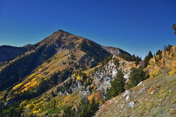 Box Elder Peak view looking up from hiking trail, American Fork Canyon. Wasatch Range Rocky...