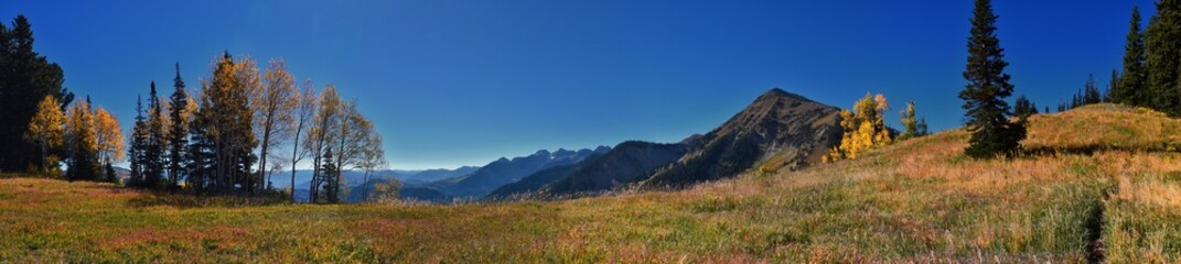 Obraz premium Box Elder Peak view looking up from hiking trail, American Fork Canyon. Wasatch Range Rocky Mountains, Utah, United States.