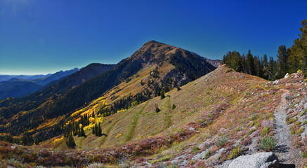 Box Elder Peak view looking up from hiking trail, American Fork Canyon. Wasatch Range Rocky Mountains, Utah, United States.