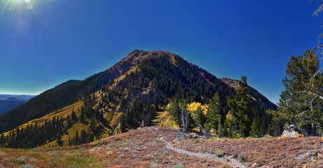 Box Elder Peak view looking up from hiking trail, American Fork Canyon. Wasatch Range Rocky...