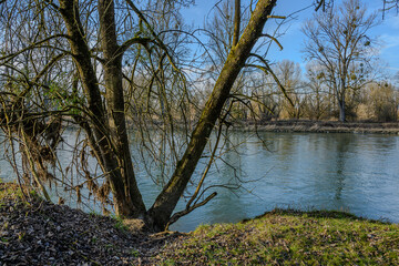 Winterwanderung in den Isarauen im Mündungsgebiet