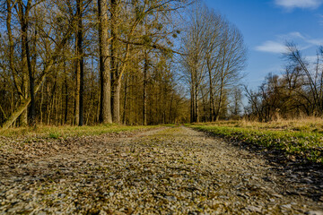 Winterwanderung in den Isarauen im Mündungsgebiet