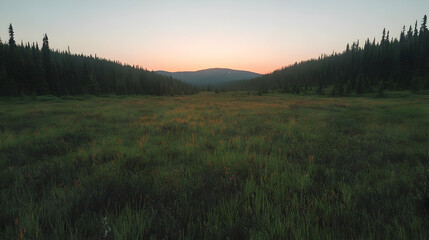 Obraz premium Sunset over mountain meadow, wildflowers, tranquil scene, nature photography