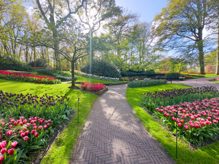 Winding path with tulips flowerbed in spring formal garden