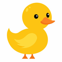 Duckling isolated flat vector on white background.