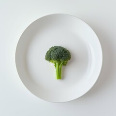 Broccoli displayed on a minimalist white plate against a light background