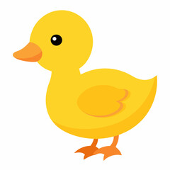 Cute Duckling isolated flat vector on white background.