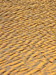 Golden ripples dance on the surface of a serene lake at sunset