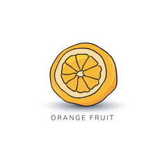 hand drawn of orange fruit illustration