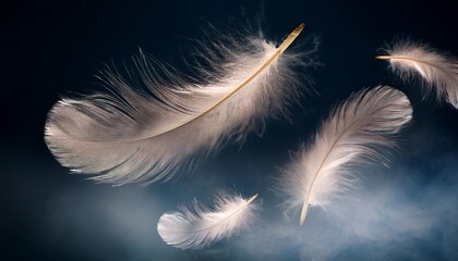 Floating Feathers Suspended Against a Dark Smoky Background