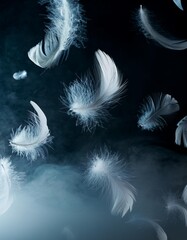Obraz premium Floating Feathers Suspended Against a Dark Smoky Background