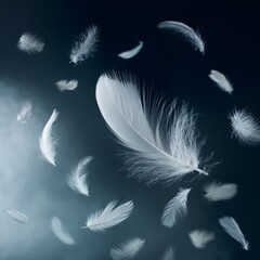Floating Feathers Suspended Against a Dark Smoky Background