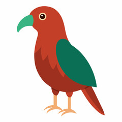 Kea bird vector on white background.