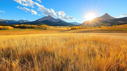 Obraz premium Golden Field Mountain Sunset Landscape