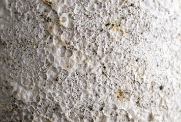 Close up of Rough Textured Surface