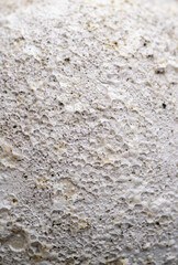 Close up of Rough Textured Surface