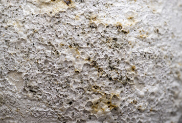 Close up of Rough Textured Surface
