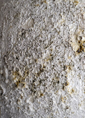 Close up of Rough Textured Surface