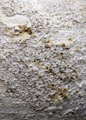 Close up of Rough Textured Surface