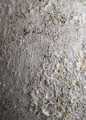 Close up of Rough Textured Surface