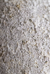 Close up of Rough Textured Surface