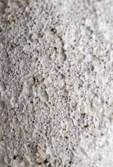 Close up of Rough Textured Surface