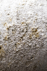 Close up of Rough Textured Surface
