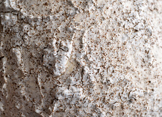 Close up of Rough Textured Surface