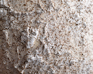 Close up of Rough Textured Surface