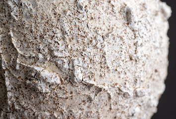 Close up of Rough Textured Surface