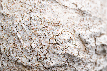 Close up of Rough Textured Surface