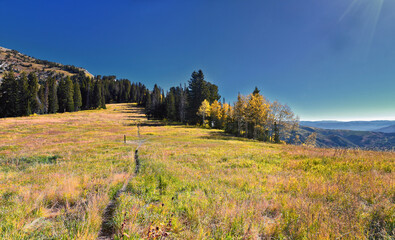 Box Elder Peak Hiking Trail, American Fork Canyon. Uinta-Wasatch-Cache National Forest, Wasatch...