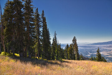 Box Elder Peak Hiking Trail, American Fork Canyon. Uinta-Wasatch-Cache National Forest, Wasatch...