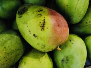 portrait of an unripe mango with a little red