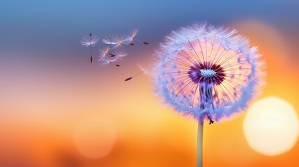 A delicate white dandelion disperses its seeds into the warm sunset sky, creating a magical and serene moment.